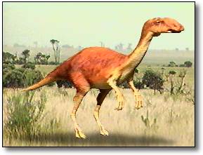 muttaburrasaurus langdoni