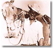 queensland stockman