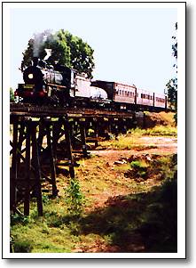 outback train