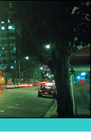 brisbane car rental