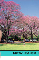 mother and child in a park in brisbane