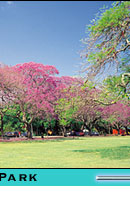 mother and child in a park in brisbane