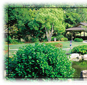 brisbane botanic gardens