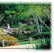 brisbane botanic gardens