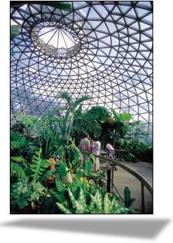 Glasshouse at the Mount Coot-tha Botanic Gardens