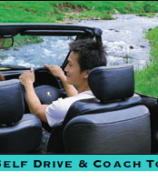 brisbane self drive and coach tours