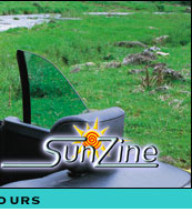 brisbane self drive and coach tours