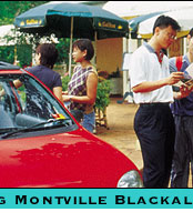 brisbane tours