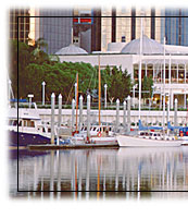 brisbane water tours