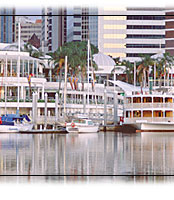 brisbane water tours
