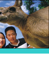 brisbane parks and zoo