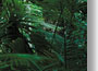 cairns australia