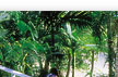 port douglas