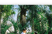 port douglas
