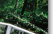 port douglas