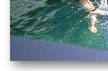 port douglas