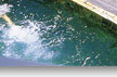port douglas