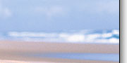 fraser island australia