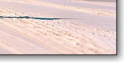 fraser island australia