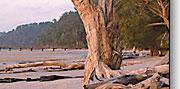 fraser island