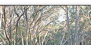 fraser island australia