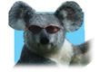 gold coast tours and activities
