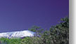dreamworld gold coast