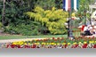 dreamworld gold coast