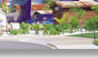 dreamworld gold coast