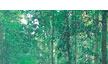 gold coast hinterland queensland