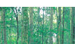 gold coast hinterland queensland
