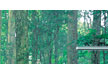 gold coast hinterland queensland