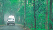 gold coast hinterland queensland