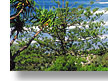 gold coast holiday queensland