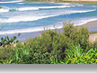 gold coast holiday queensland