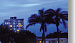 surfers paradise gold coast