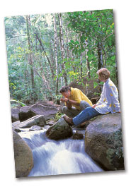 Finch Hatton Gorge