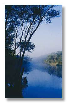 noosa river