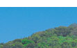 noosa queensland