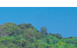 noosa queensland