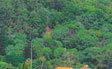 noosa queensland