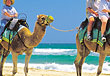 noosa head australia