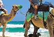 noosa head australia