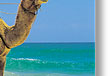 noosa head australia
