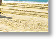 noosa head australia