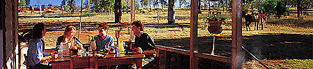 capricorn hinterland