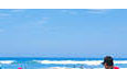 maroochydore beach