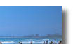 maroochydore beach