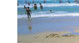 maroochydore beach