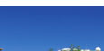 sunshine coast real estate